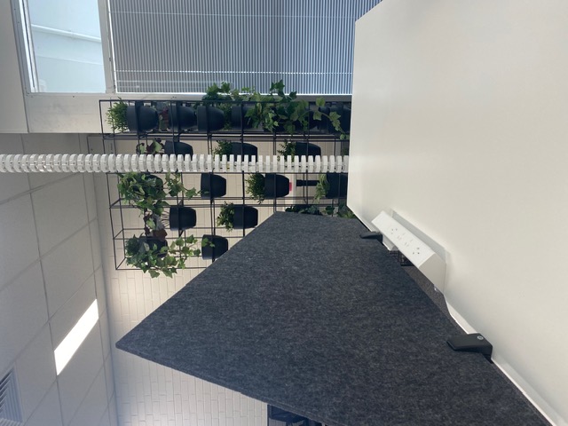 Therapy Focus — Acoustic privacy screens