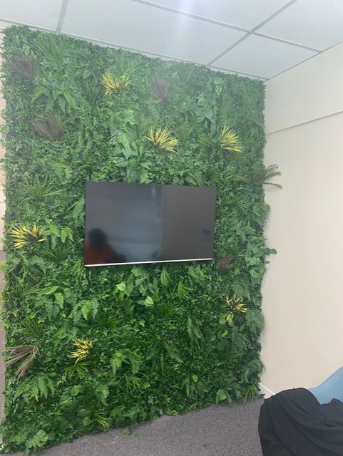 Therapy Focus — Biophilic feature wall